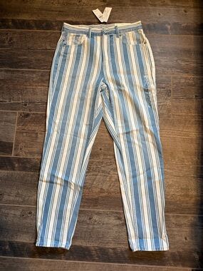 American Eagle Outfitters Blue & White Striped Cropped Pants